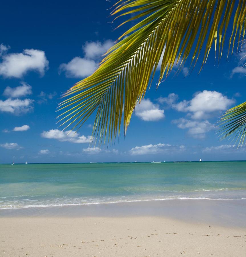 Calabash Cove Resort And Spa - Adults Only Gros-Islet Buitenkant foto